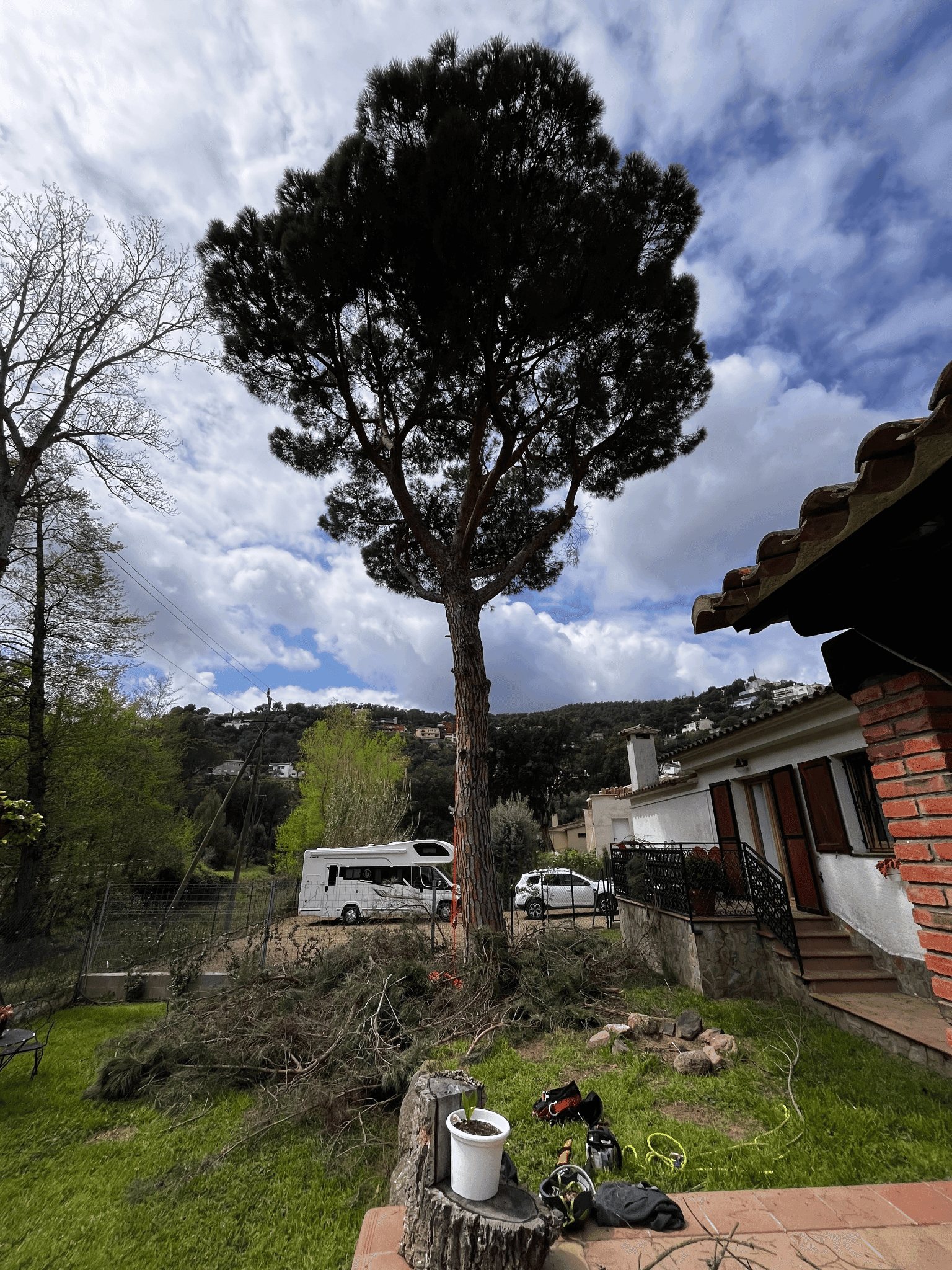 Élagage en hauteur par un arboriste